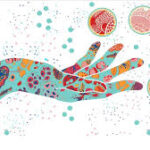 Мікробіом шкіри